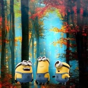 Meet your Posher, Dwayne